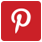 images_demo_pinterest-icon