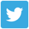 images_demo_twitter-icon
